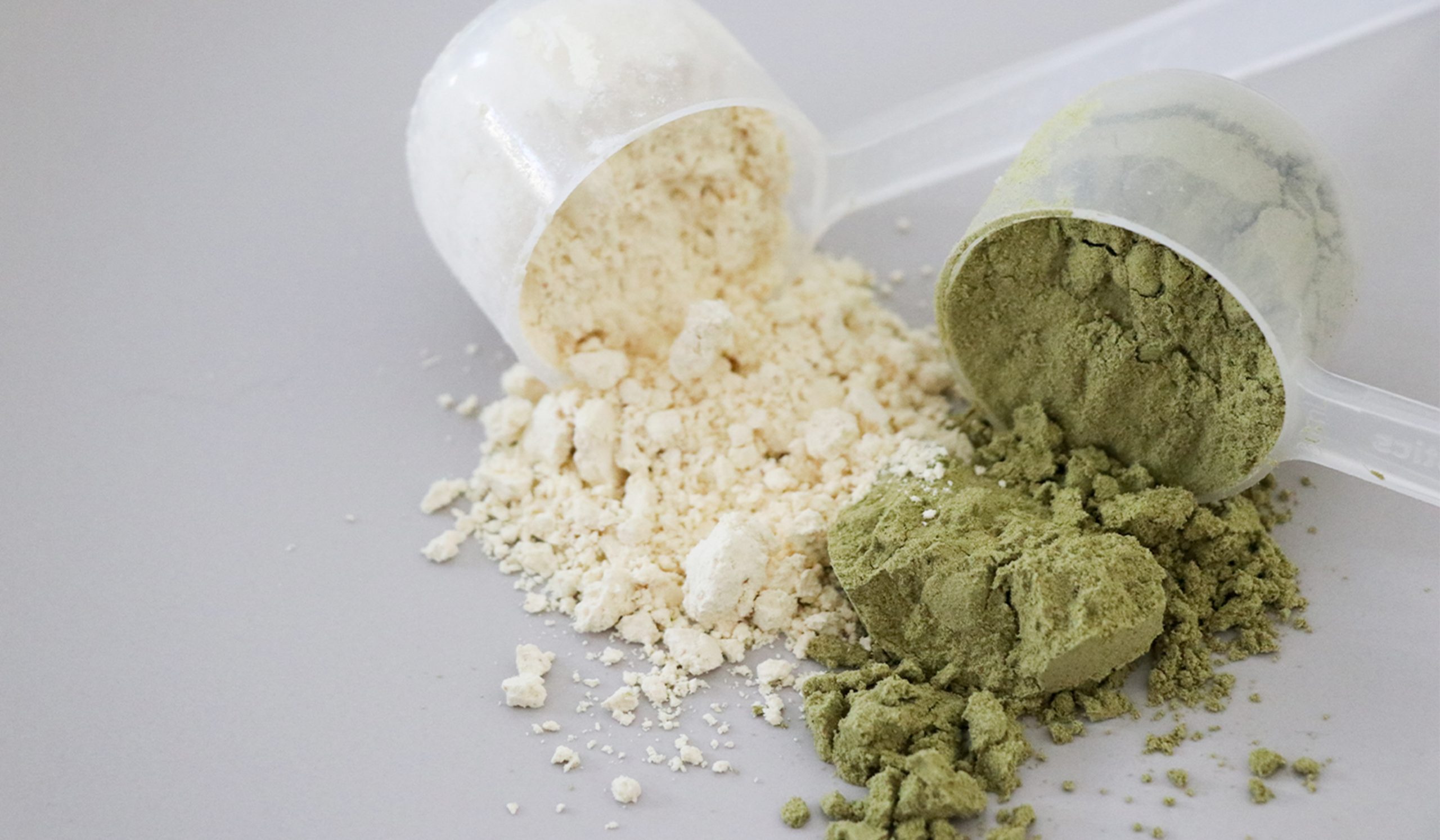 Protein powders