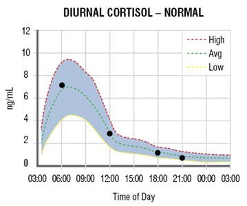 Adrenal Curve